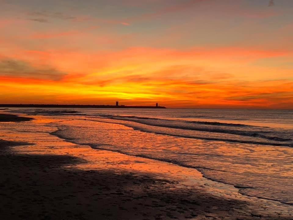 Beachhome Scheveningen Den Haag