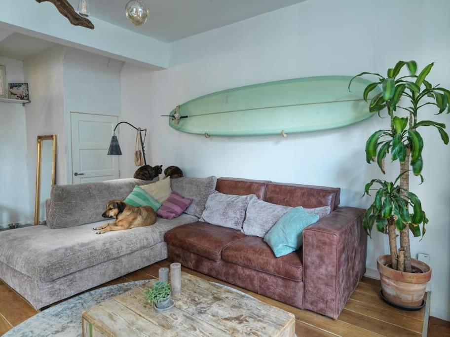 Apartment Beachhome Scheveningen Den Haag