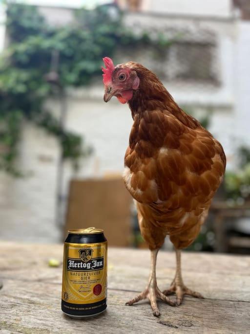 Beachhome Scheveningen *