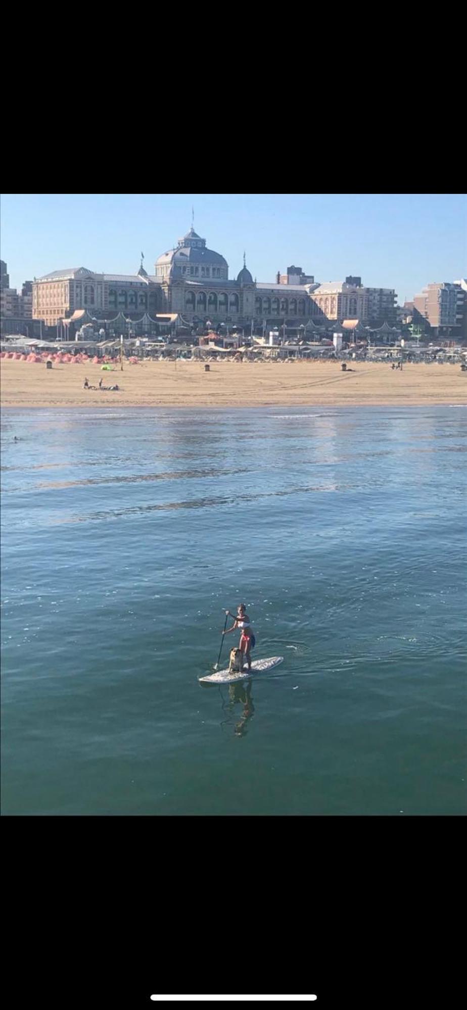 Beachhome Scheveningen Den Haag